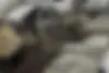 بنز  کلاس E