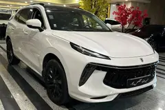 لاماری، ایما