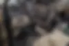 رنو  مگان (مونتاژ)