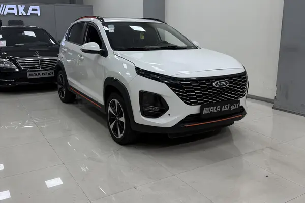 ام وی ام، X33 کراس