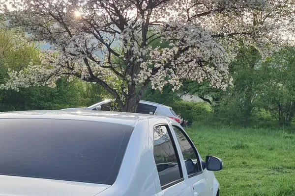 رنو، تندر 90