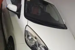 کیا، پیکانتو