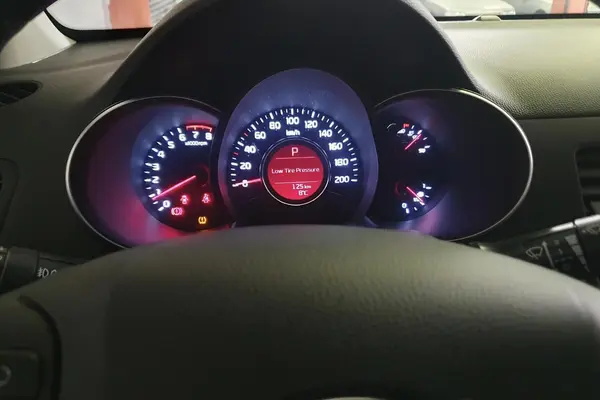 کیا، پیکانتو