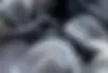 رنو،  کپچر