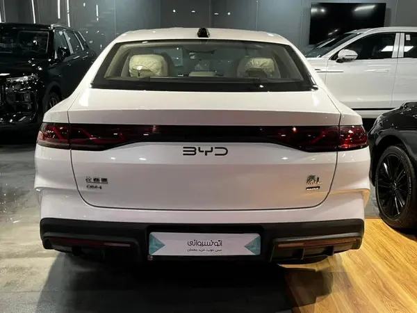 بی وای دی، چین ال DMi