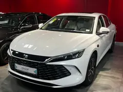 بی وای دی، چین ال DMi