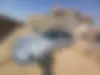 پژو، پارس