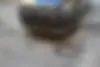 دانگ فنگ،  شاین مکس