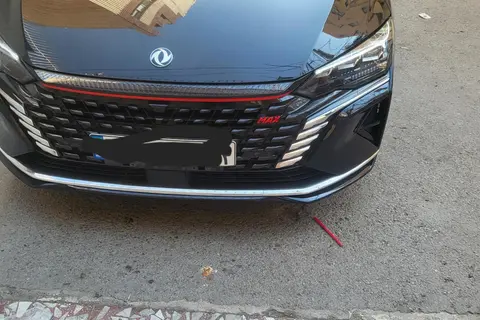 دانگ فنگ، شاین مکس