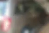 ام وی ام،  X33