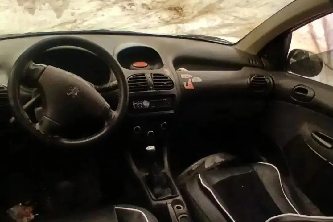 پژو،  206