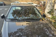 دنا، پلاس EF7