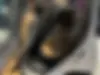لکسوس،  LX