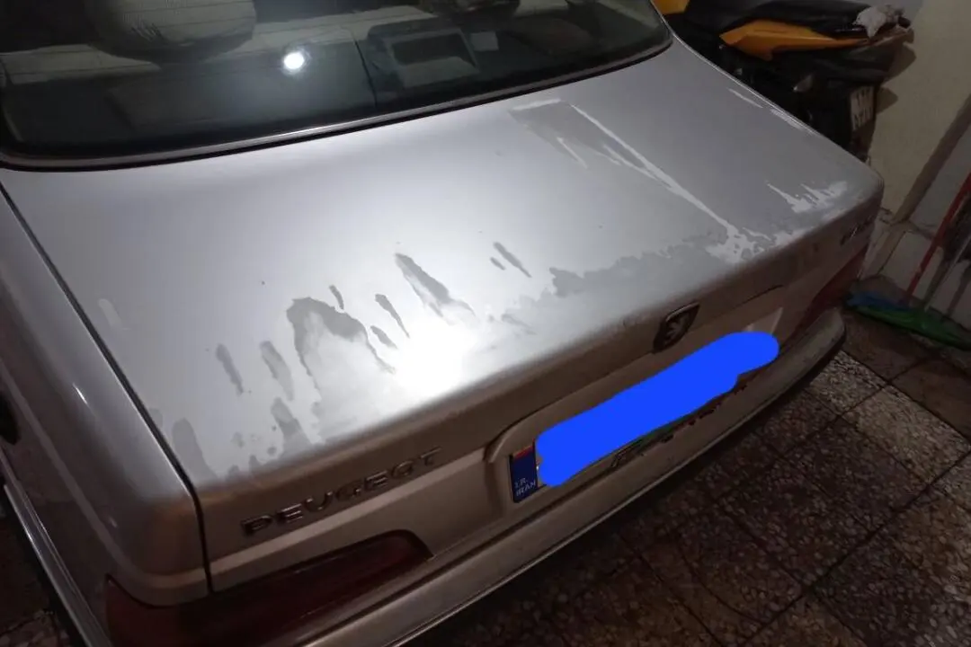 پژو،  پارس