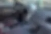 کاپرا،  2