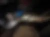 بنز  کلاس C