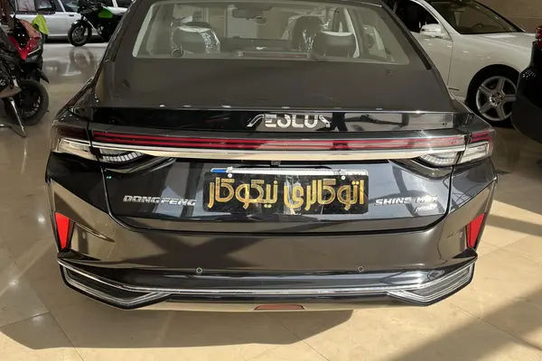 دانگ فنگ، شاین مکس