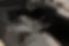 اشکودا  سوپرب