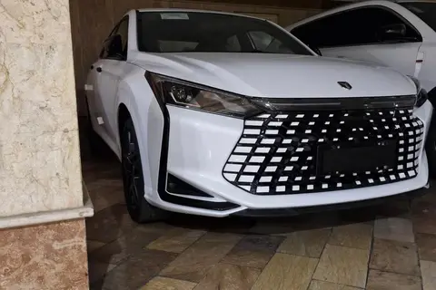 لاماری، اکو