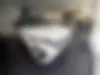 فونیکس، FX