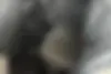 فونیکس  FX