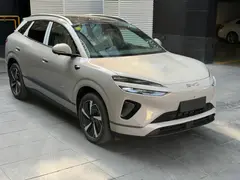بی وای دی، سی لاین 06 DMi