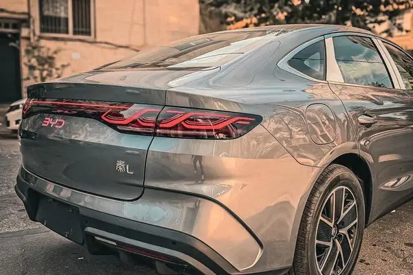 بی وای دی، چین L