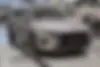 دانگ فنگ، شاین مکس