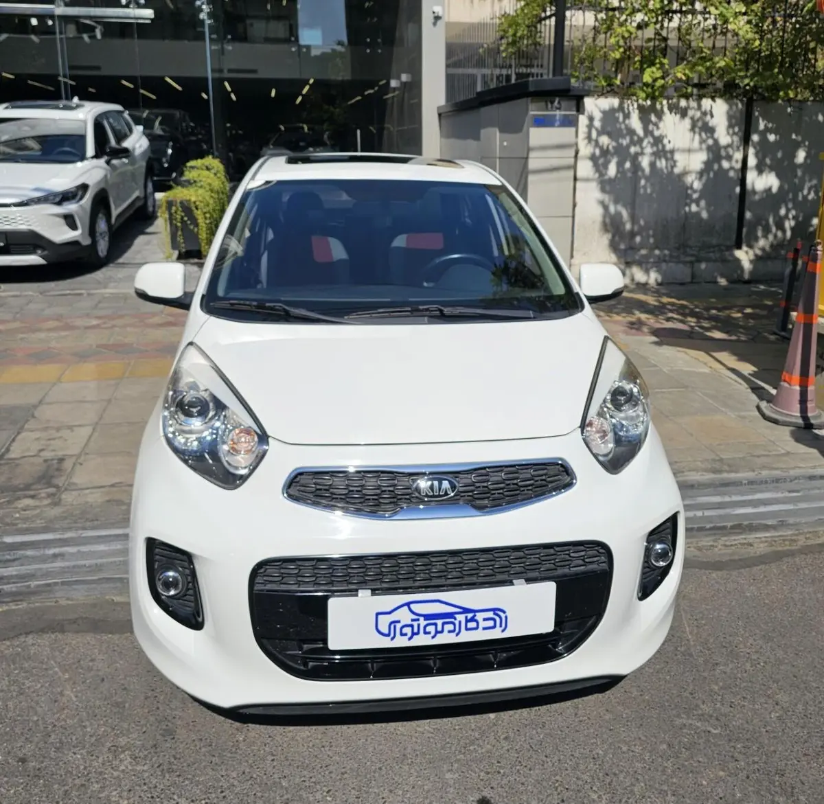 کیا،  پیکانتو