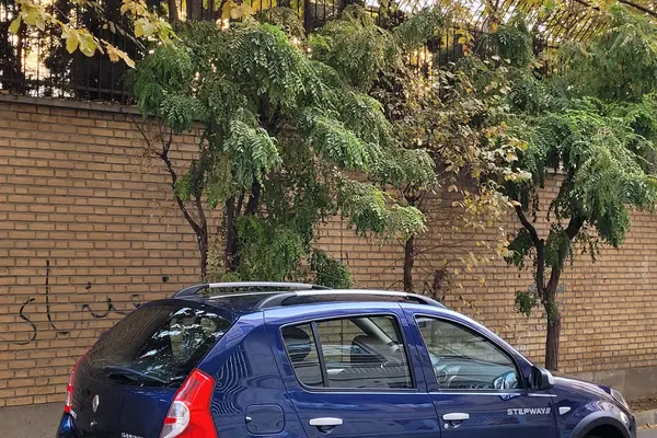 رنو، ساندرو استپ وی