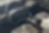 بیجینگ  U5 پلاس