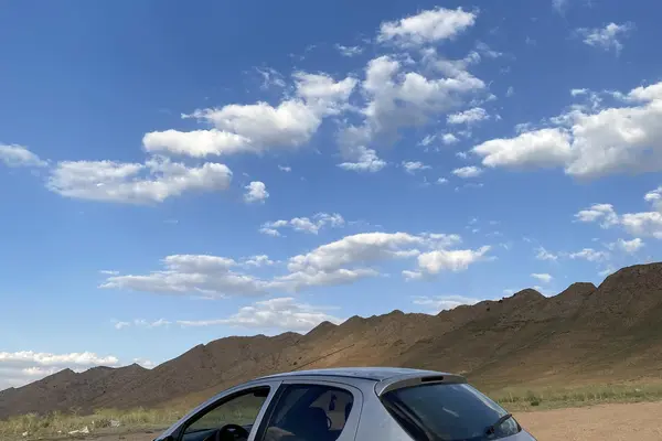 پژو  206