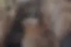 آئودی،  Q5