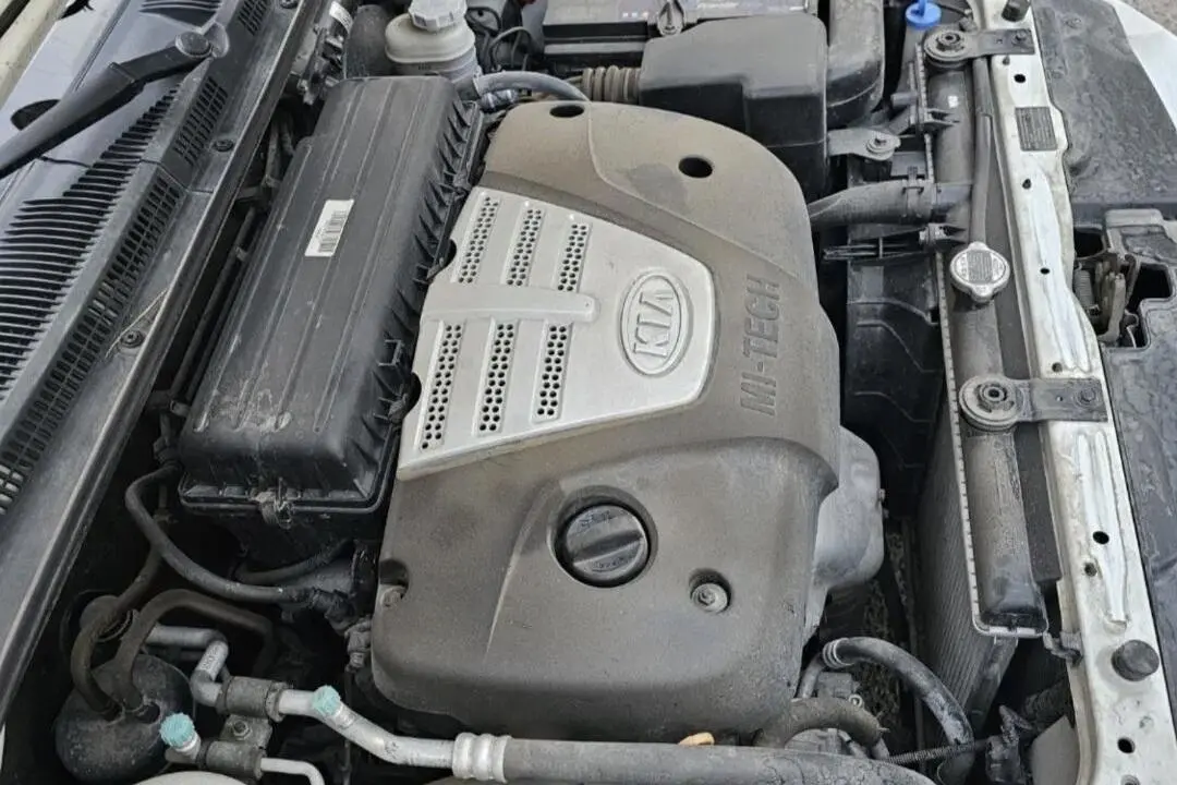 کیا،  ریو (مونتاژ)