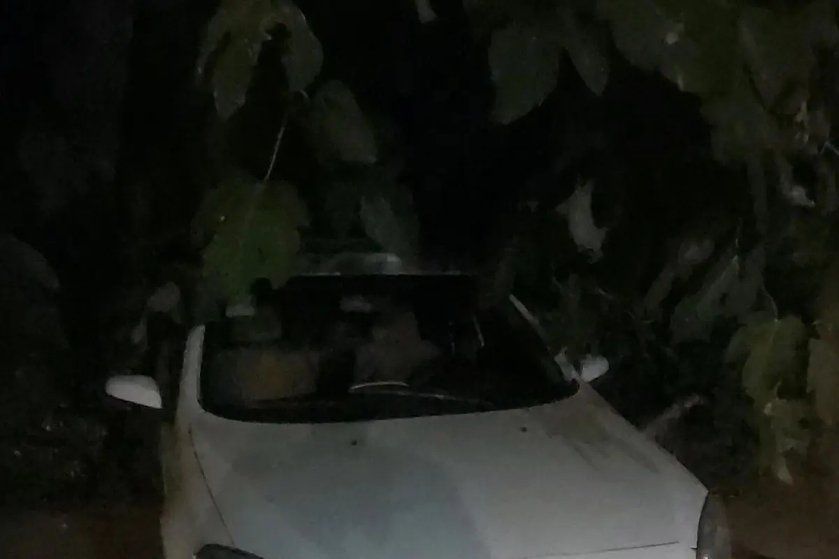 برلیانس،  H330