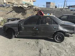 پژو، پارس
