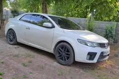 کیا، سراتو کوپ