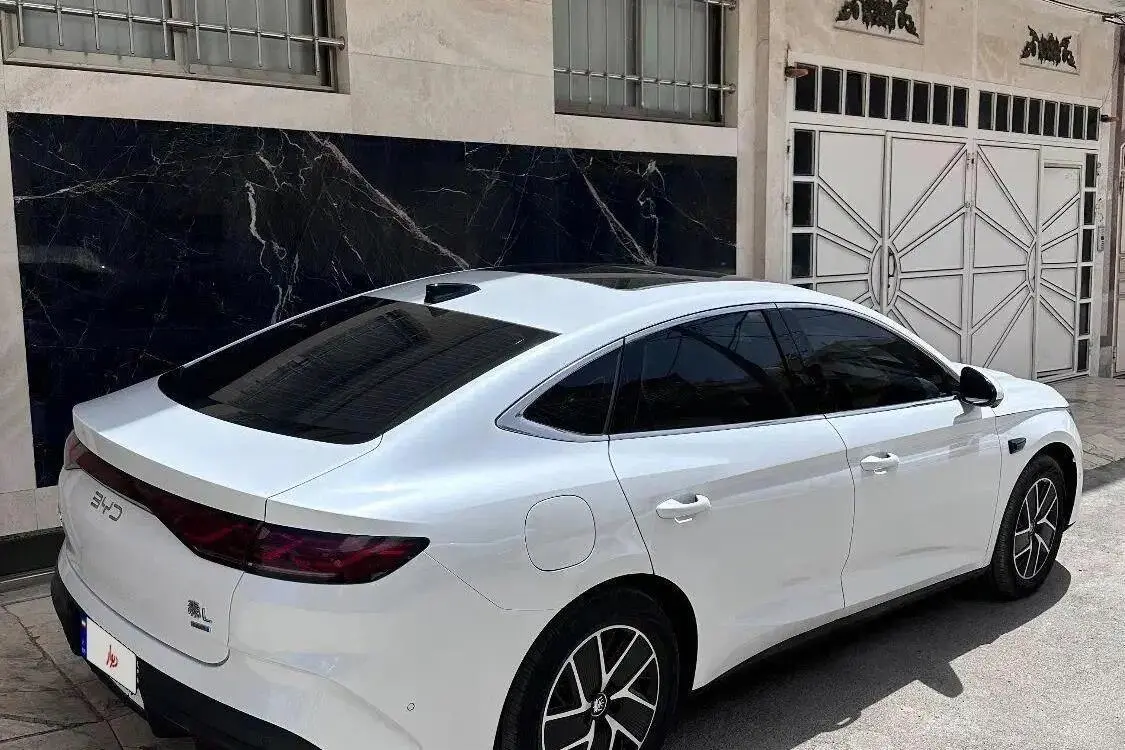 بی وای دی،  چین ال DMi