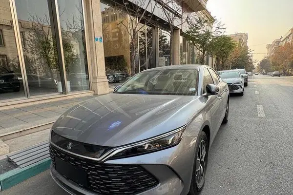 بی وای دی، چین L