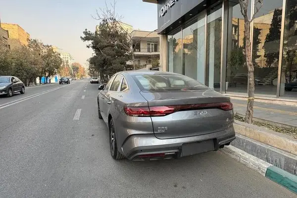 بی وای دی، چین L