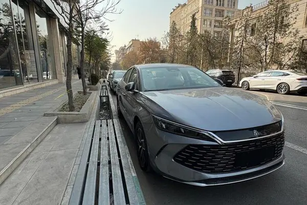 بی وای دی، چین L