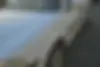 فولکس،  گل