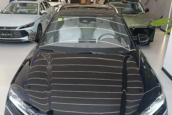 بی وای دی، سانگ پلاس DMi