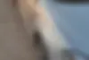 برلیانس  H330