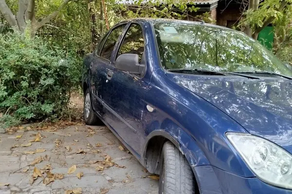 تیبا، صندوق دار