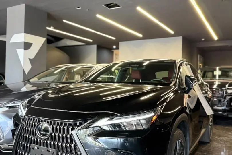 لکسوس،  NX