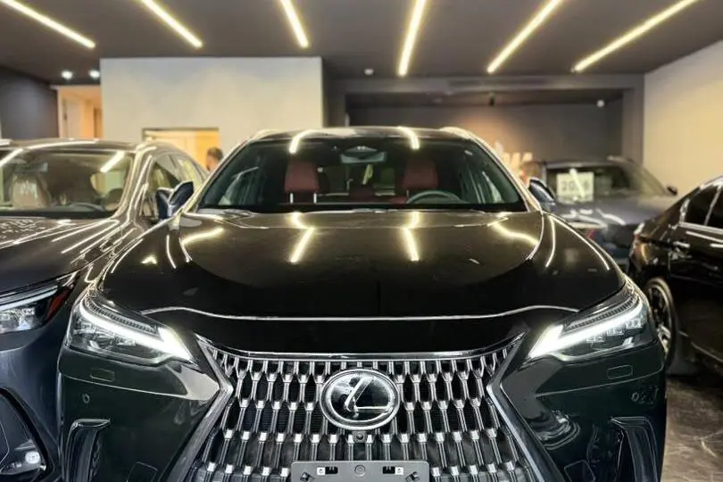 لکسوس،  NX