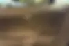 لکسوس،  NX