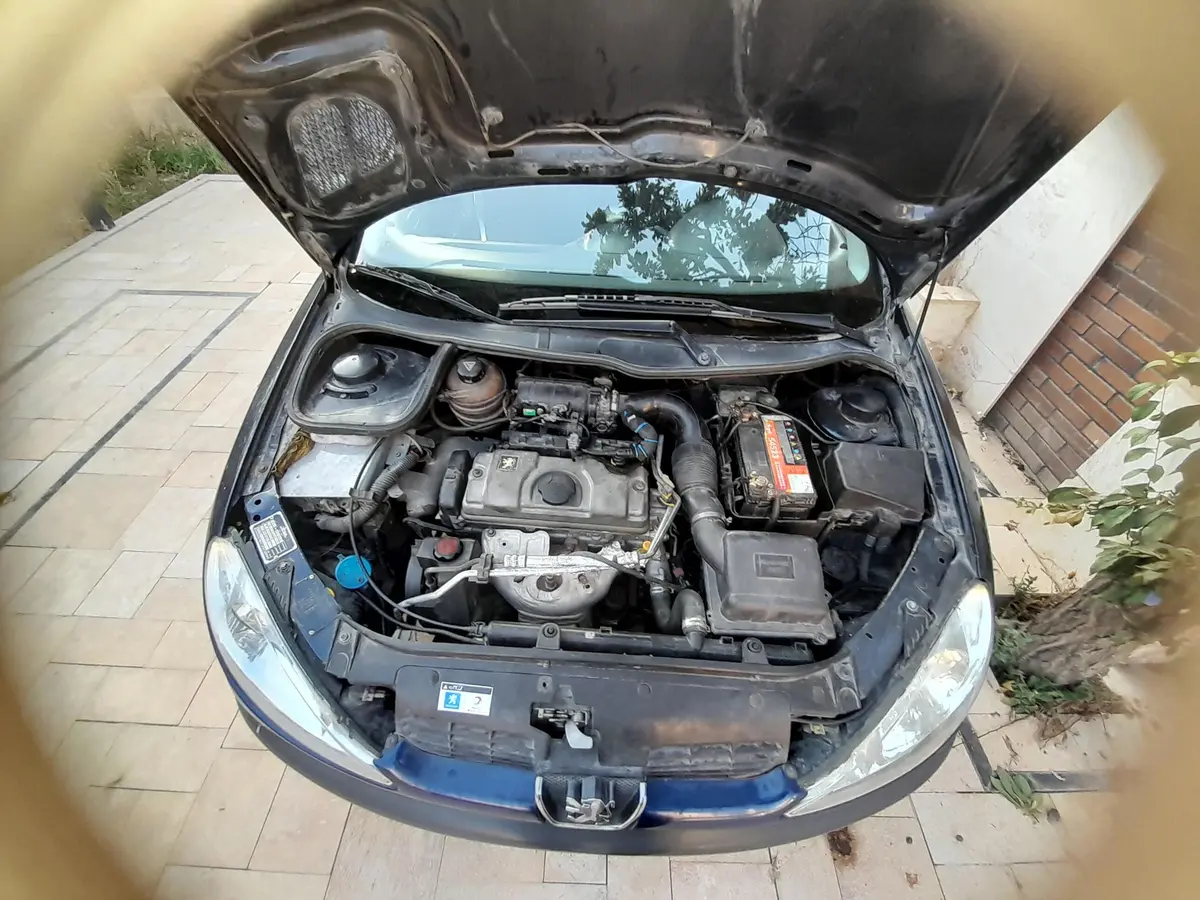 پژو،  206