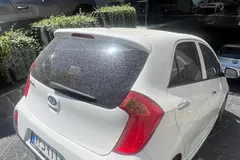 کیا، پیکانتو